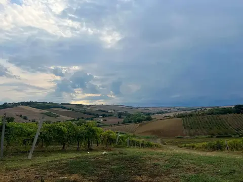 Agricampeggio Azienda Agricola Bertolacci