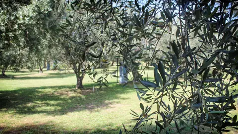Agricamping Monterontondo