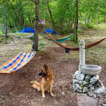 Maia Camping