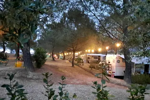Agricampeggio Poggio ai Pini