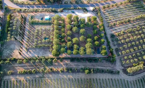 Agricampeggio Poggio ai Pini