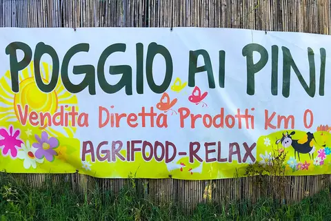 Agricampeggio Poggio ai Pini