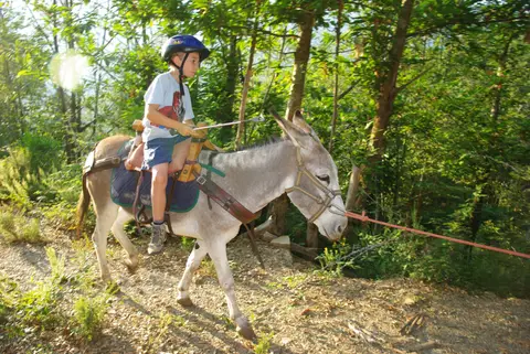 Camping Petra Pinzuta