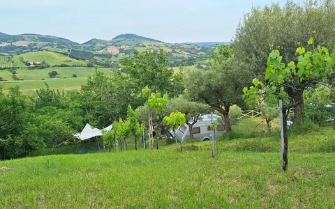 Le Farfalle