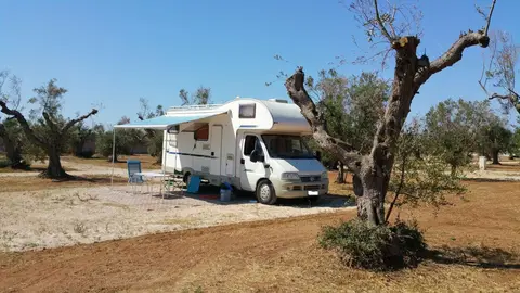 Agricamping Parco degli Ulivi