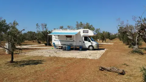 Agricamping Parco degli Ulivi