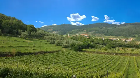 Azienda Ca nova 123;Azienda Agricola Ca' Nova 123