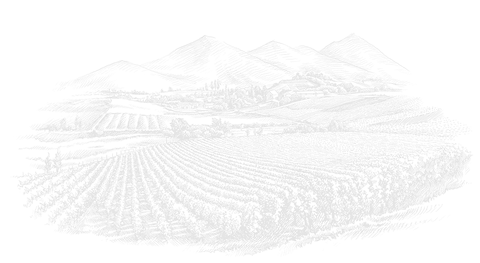 Azienda Ca nova 123;Azienda Agricola Ca' Nova 123