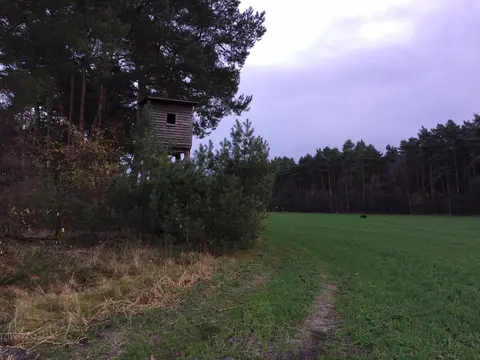 Wohnmobilstellplatz Lutterhof Südheide-Hermannsburg