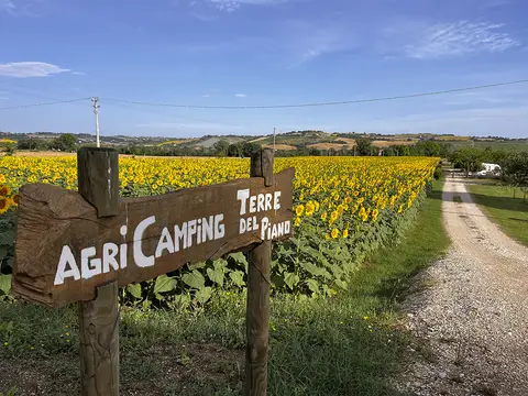 Terre del Piano