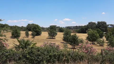 Agriturismo Montecaminetto
