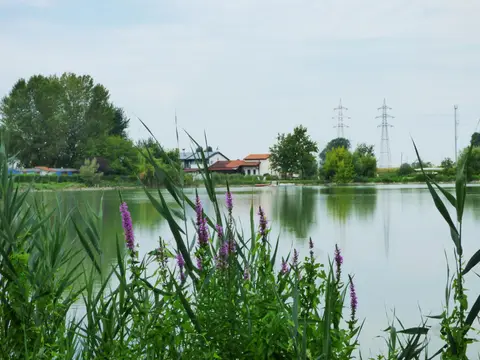 Agricampeggio Il glicine