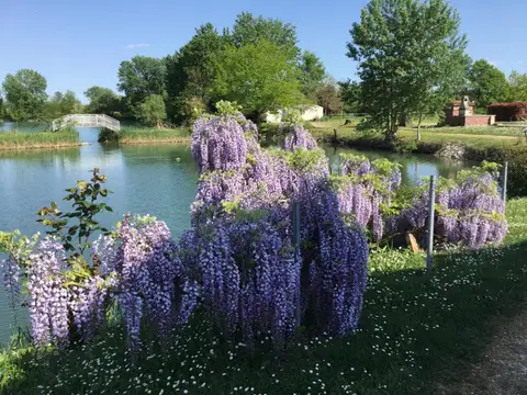 Agricampeggio Il glicine