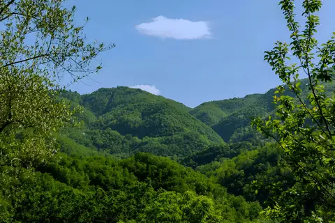 Sento il cucù