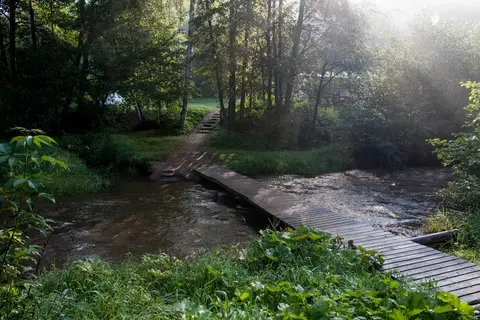 Tábořiště na Kosím potoce