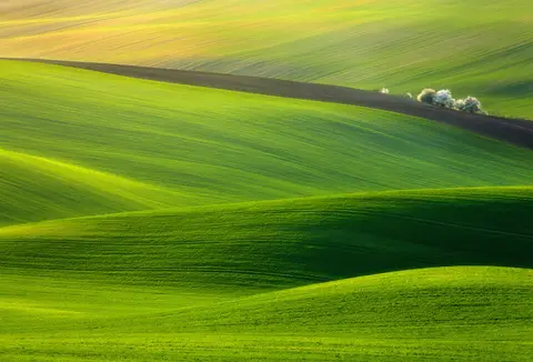 Agriturismo Prato dei Grilli