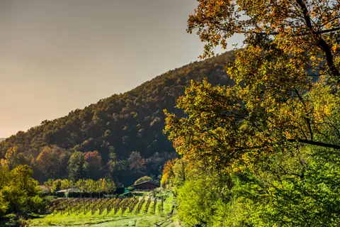Agricampeggio Al Rocol