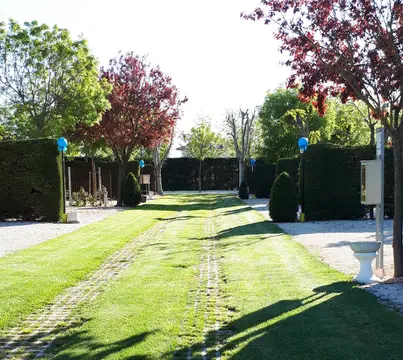 Parking delle Robinie