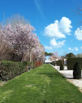 Parking delle Robinie