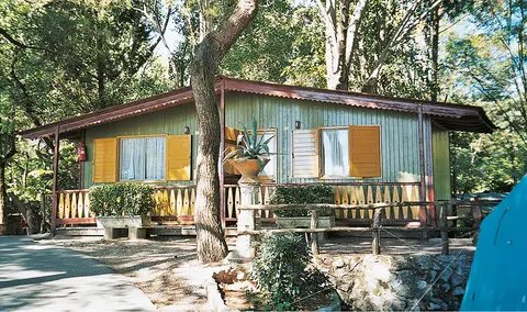 Al Bosco