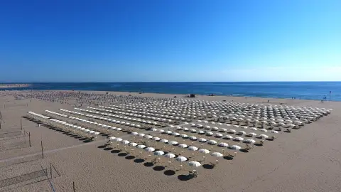 Mare e Pineta