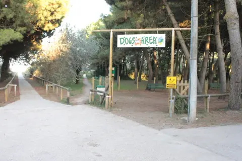 Mare e Pineta