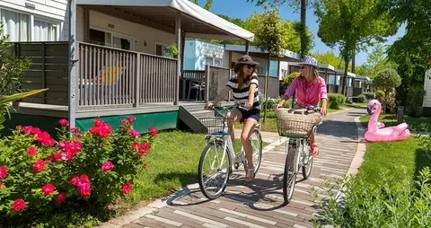 Camping Garden Paradiso