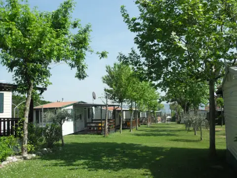 Campin Da Bruno