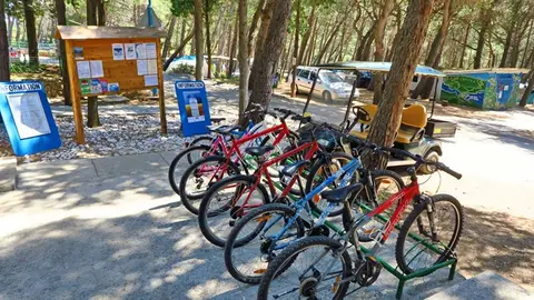 Camping Bijar