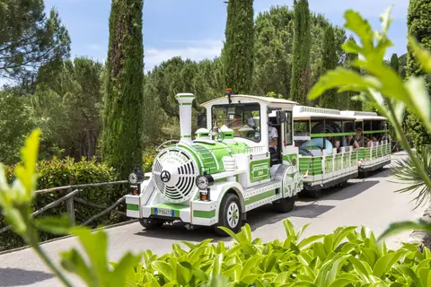 Camping Norcenni Girasole