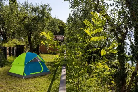 Ideal Molino