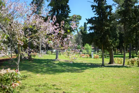 Camp Pineta