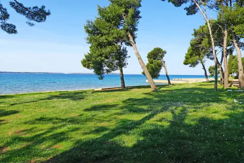 Camp Pineta