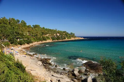 Telis
