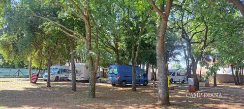 Kamp Diana