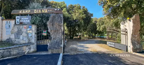Kamp Diana