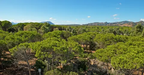 Camping Cala Ginepro