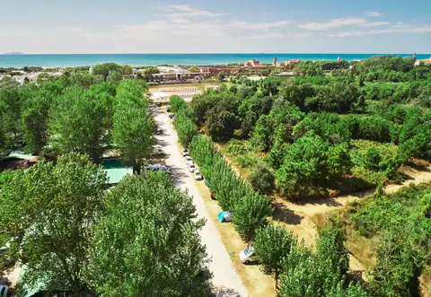 Camping Pineta