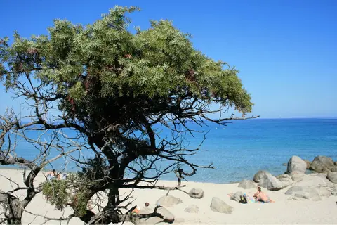 Camping Le Bodri