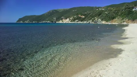 Tallinucci