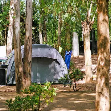 Camping La Pineta