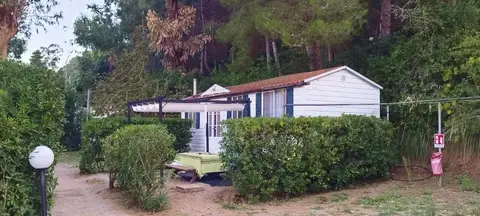 Camping Reale