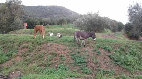 Campeggio Coccorrocci