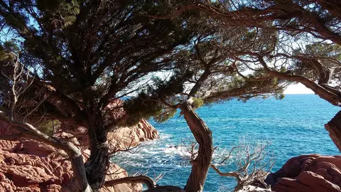 Campeggio Coccorrocci