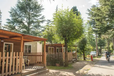Camping Zoo