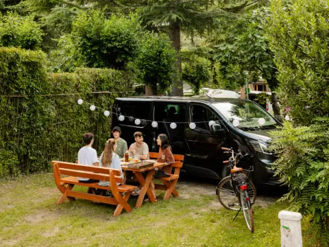 Camping Zoo