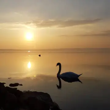 Parco del Lago