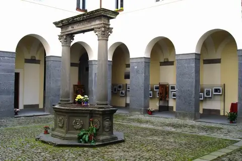 Le Mimose