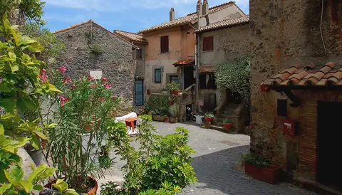 Le Mimose