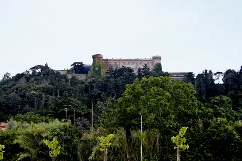 Le Mimose